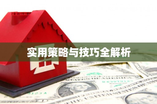 师宗实用策略与技巧全解析
