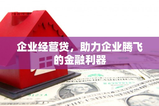 师宗企业经营贷，助力企业腾飞的金融利器