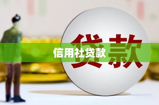 师宗信用社贷款