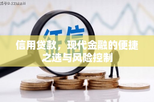 师宗信用贷款，现代金融的便捷之选与风险控制