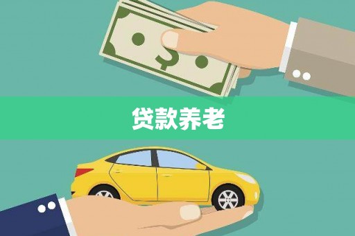 师宗贷款养老