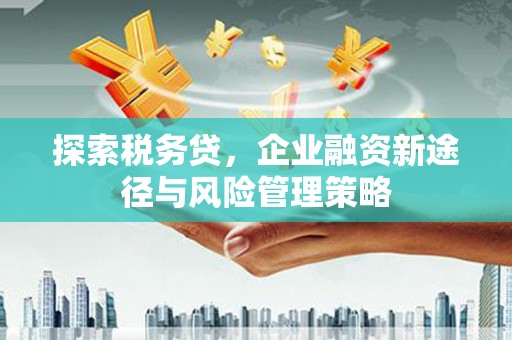 师宗探索税务贷，企业融资新途径与风险管理策略