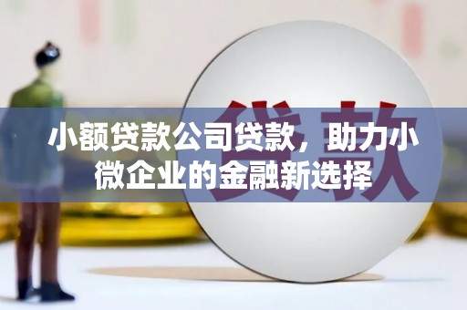师宗小额贷款公司贷款，助力小微企业的金融新选择