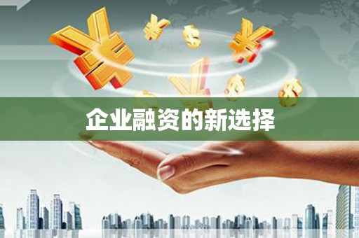 师宗企业融资的新选择