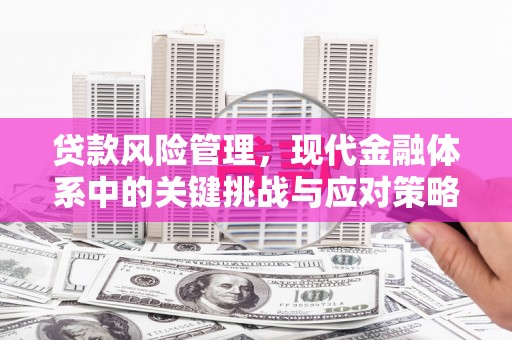 师宗贷款风险管理，现代金融体系中的关键挑战与应对策略