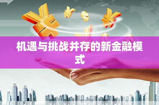 师宗机遇与挑战并存的新金融模式