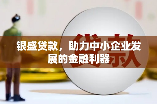 师宗银盛贷款，助力中小企业发展的金融利器