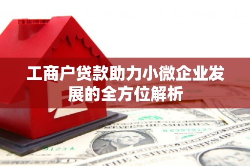 师宗工商户贷款助力小微企业发展的全方位解析