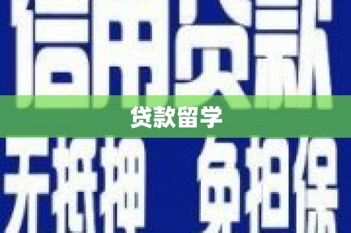 师宗贷款留学