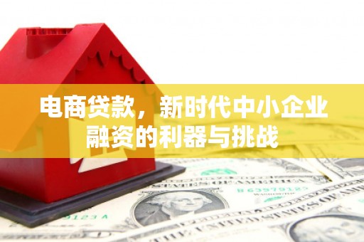 师宗电商贷款，新时代中小企业融资的利器与挑战