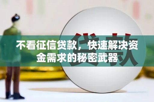 师宗不看征信贷款，快速解决资金需求的秘密武器