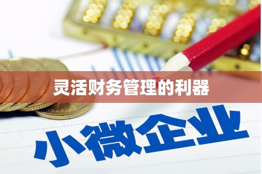 师宗灵活财务管理的利器