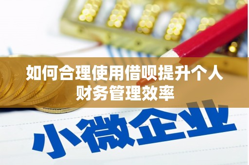 师宗如何合理使用借呗提升个人财务管理效率