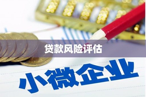 师宗贷款风险评估