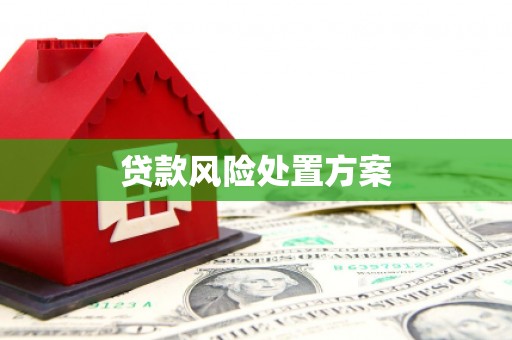 师宗贷款风险处置方案