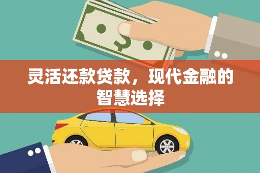 师宗灵活还款贷款，现代金融的智慧选择
