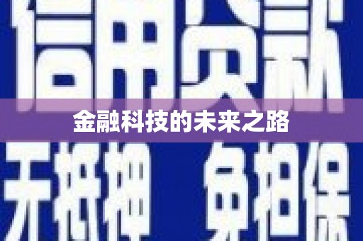 师宗金融科技的未来之路