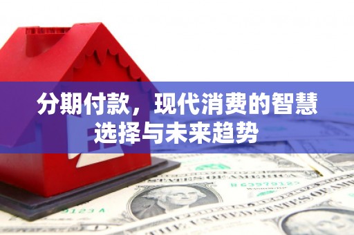 师宗分期付款，现代消费的智慧选择与未来趋势
