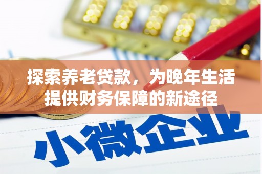 师宗探索养老贷款，为晚年生活提供财务保障的新途径