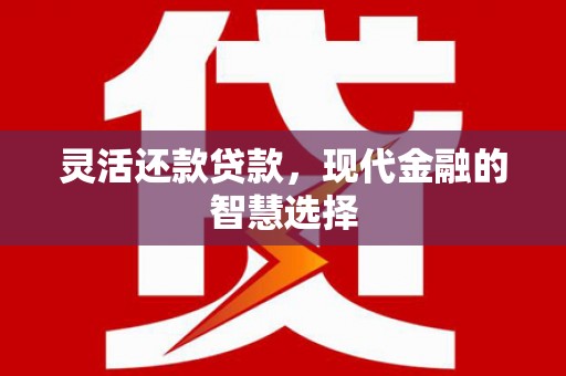 师宗灵活还款贷款，现代金融的智慧选择