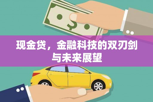 师宗现金贷，金融科技的双刃剑与未来展望