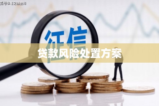 师宗贷款风险处置方案