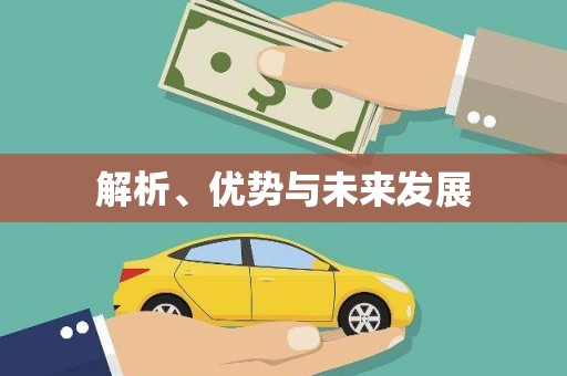 师宗解析、优势与未来发展
