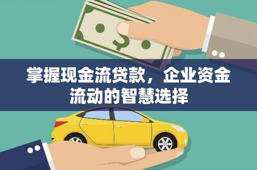 师宗掌握现金流贷款，企业资金流动的智慧选择