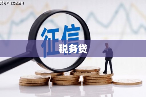 师宗税务贷