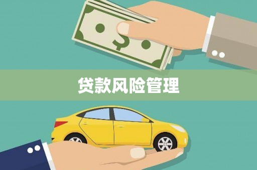 师宗贷款风险管理