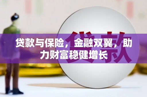师宗贷款与保险，金融双翼，助力财富稳健增长