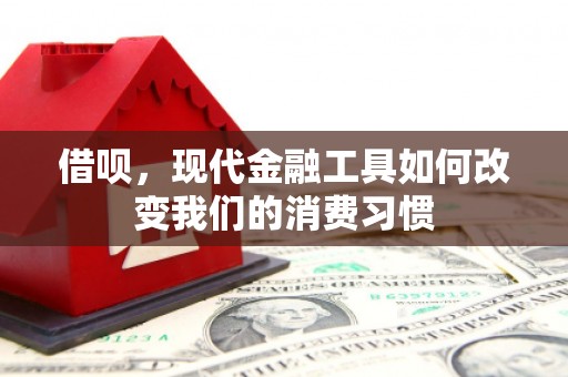 师宗借呗，现代金融工具如何改变我们的消费习惯