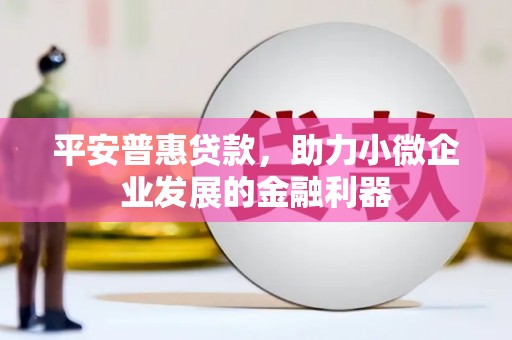 师宗平安普惠贷款，助力小微企业发展的金融利器