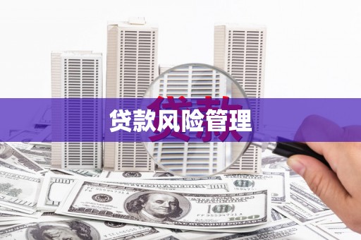 师宗贷款风险管理