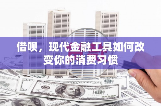 师宗借呗，现代金融工具如何改变你的消费习惯