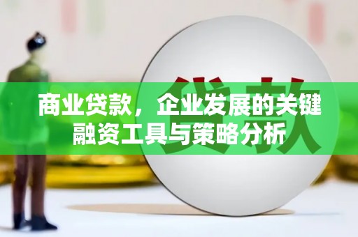 师宗商业贷款，企业发展的关键融资工具与策略分析
