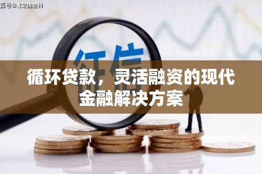 师宗循环贷款，灵活融资的现代金融解决方案