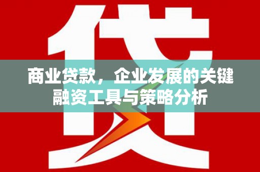 师宗商业贷款，企业发展的关键融资工具与策略分析