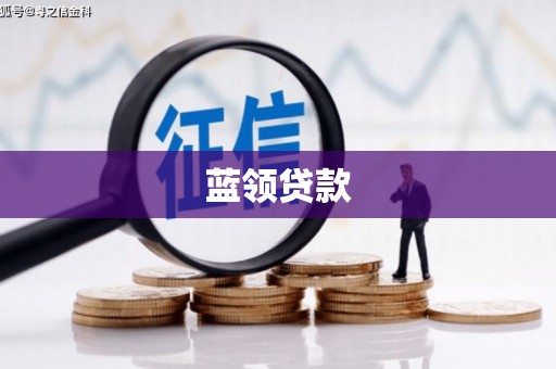 师宗蓝领贷款