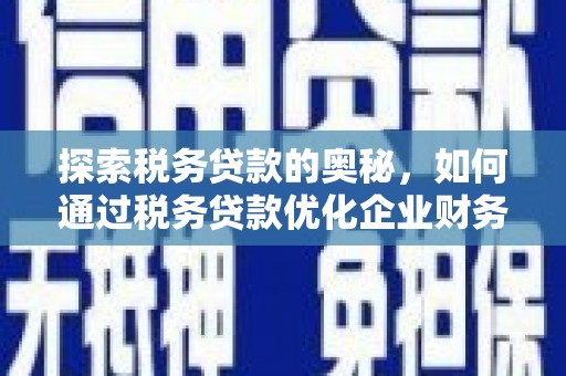师宗探索税务贷款的奥秘，如何通过税务贷款优化企业财务