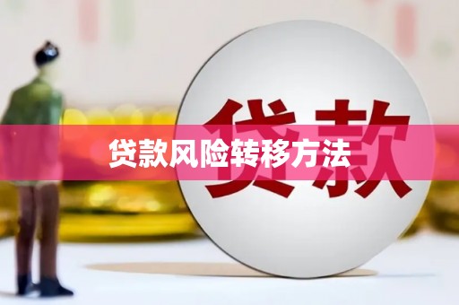 师宗贷款风险转移方法