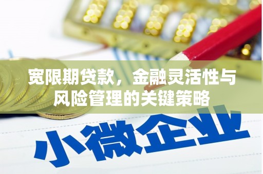 师宗宽限期贷款，金融灵活性与风险管理的关键策略