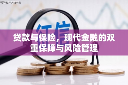 师宗贷款与保险，现代金融的双重保障与风险管理