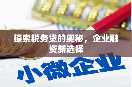 师宗探索税务贷的奥秘，企业融资新选择