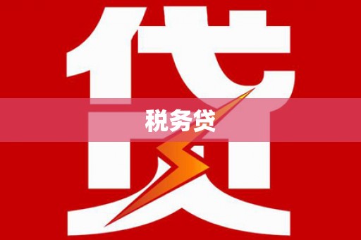 师宗税务贷