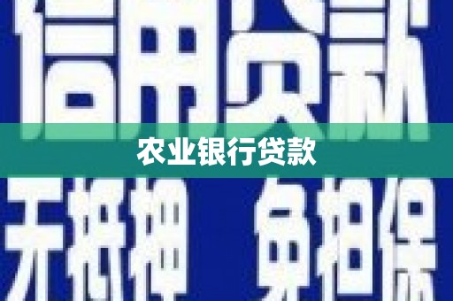师宗农业银行贷款