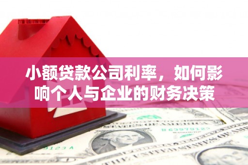 师宗小额贷款公司利率，如何影响个人与企业的财务决策