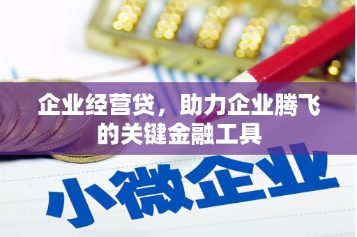 师宗企业经营贷，助力企业腾飞的关键金融工具