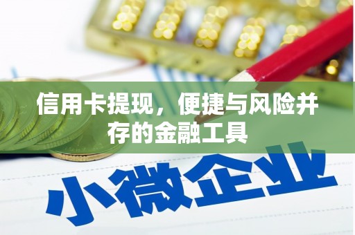 师宗信用卡提现，便捷与风险并存的金融工具