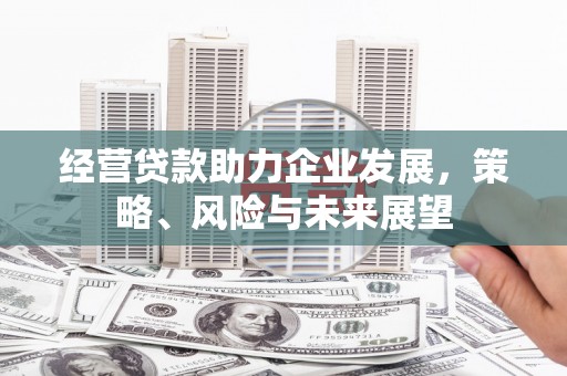 师宗经营贷款助力企业发展，策略、风险与未来展望